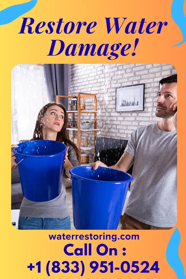 water restoration Precision Damage Recovery Authority Eagarville