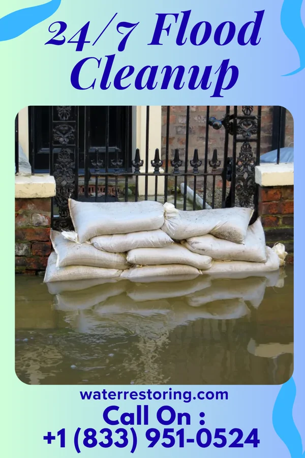 24/7 Flood Cleanup in Eagarville, IL