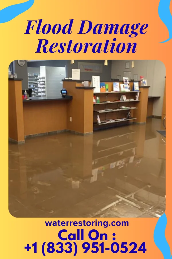 Flood Damage Restoration in Eagarville, IL