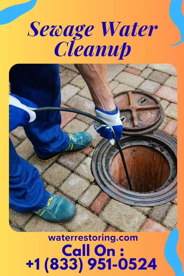 Sewage Water Cleanup in Eagarville, IL